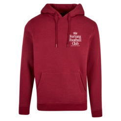 Alternative view of Hoodie: Fortuna Football Club