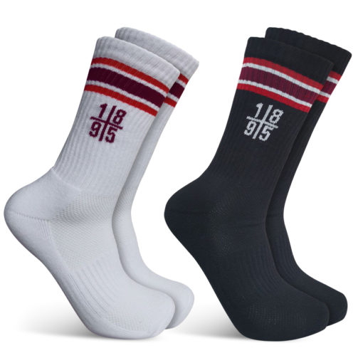 Socken-Bundle: 1895