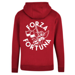 Hoodie: Forza Engel – Bild 4