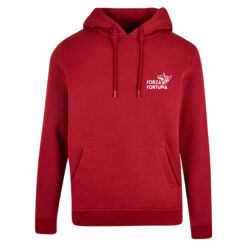 Hoodie: Forza Engel – Bild 3